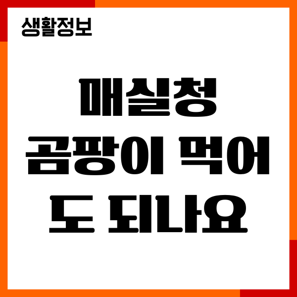 매실청 곰팡이 먹어도 되나요 제거, 예방, 해결법
