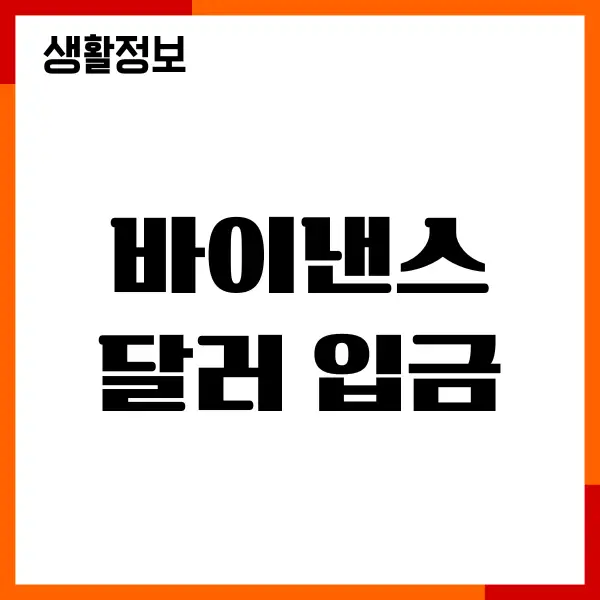 바이낸스 달러 입금, 원화 입금, 차이점, USDT 충전
