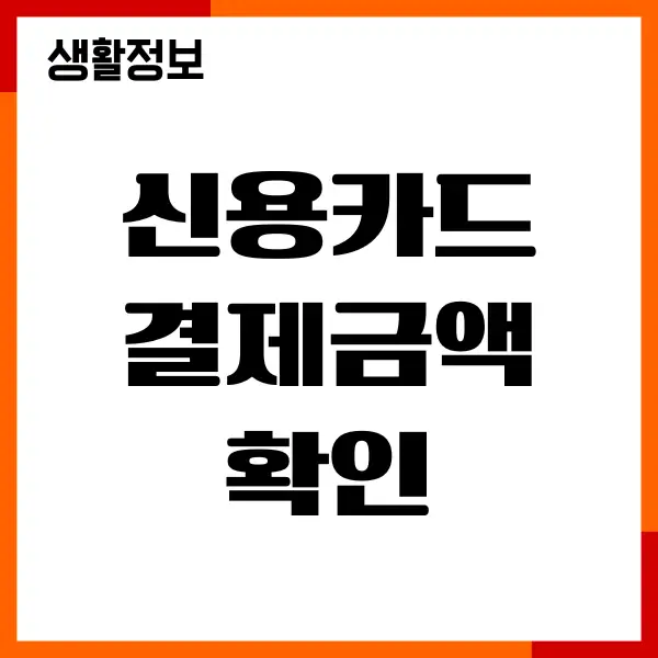 신용카드 결제금액 확인, 할부결제, 이월약정, 선결제, 즉시결제