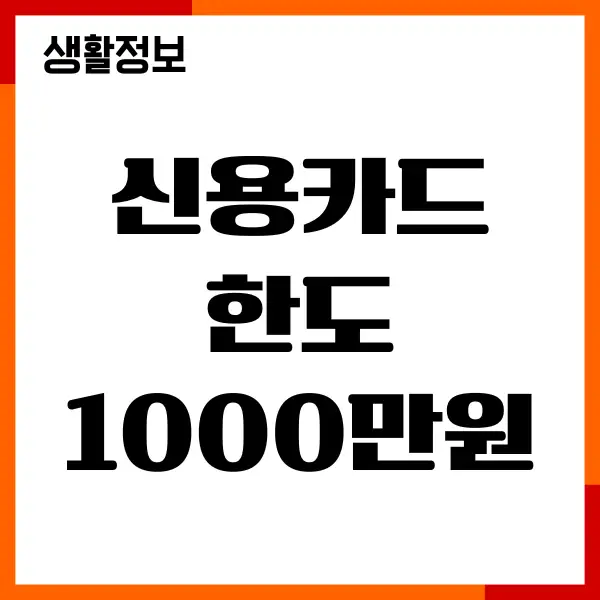 신용카드 한도 1000만원, 한도 올리기, 관리방법