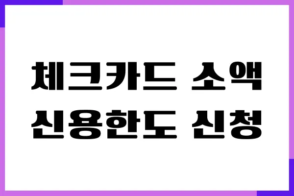 체크카드 소액 신용한도 신청 방법, 한도 조회