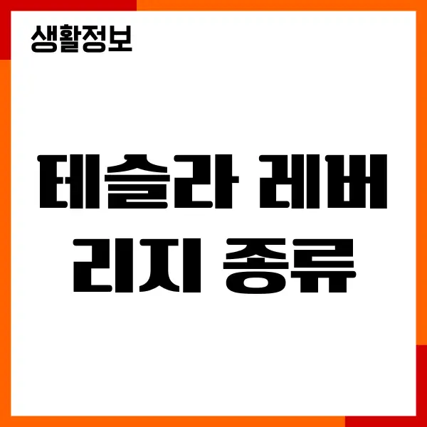 테슬라 레버리지 종류, 종목, 장단점, 수수료, 투자방법