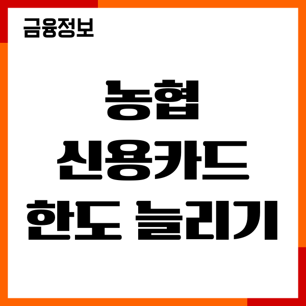 농협 신용카드 한도 늘리기 조건, 절차, 기간, 이용후기