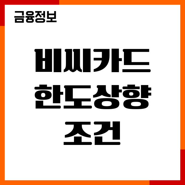 비씨카드 한도 상향 조건, 절차, 신청방법, 이용후기