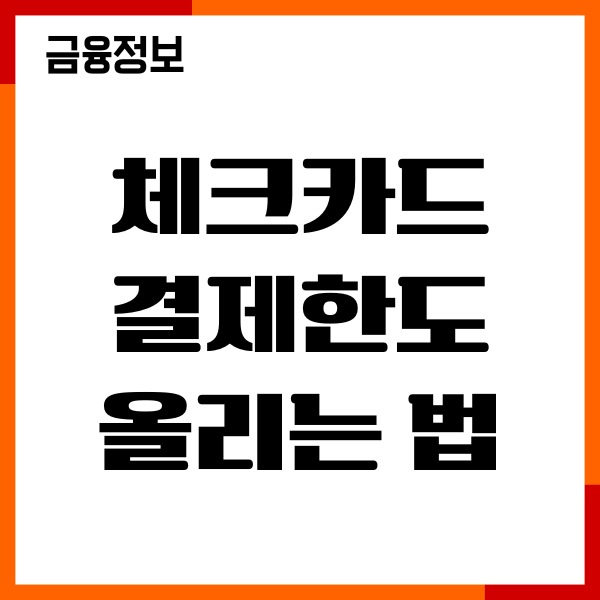 체크카드 결제한도 올리는법, 한도변경, 이용후기